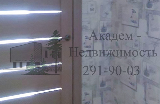 Купить однокомнатную квартиру в Академгородке после ремонта в Нижней Ельцовке