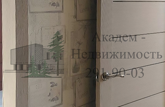 Купить однокомнатную квартиру в Академгородке после ремонта в Нижней Ельцовке