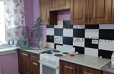 Снять двухкомнатную квартиру в Советском районе Нижняя Ельцовка Снять двухкомнатную квартиру в Советском районе Нижняя Ельцовка