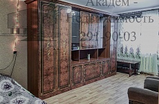 Снять отличную однокомнатную квартиру в Академгородке на Иванова 15 Снять отличную однокомнатную квартиру в Академгородке на Иванова 15