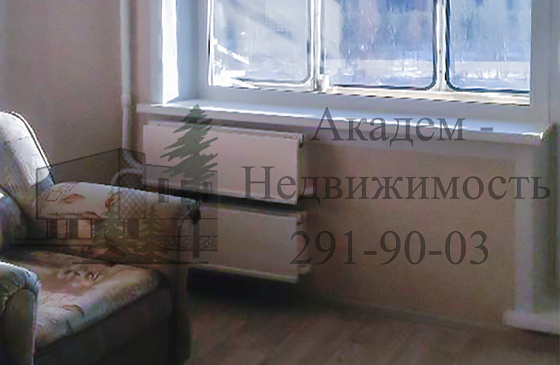 Купить однокомнатную квартиру в Академгородке после ремонта в Нижней Ельцовке