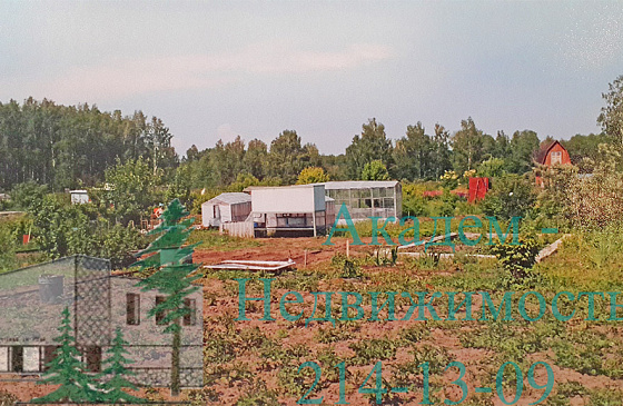 Как купить дачный участок около Академгородка за Ботсадом СО РАН
