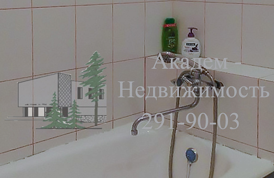 Купить однокомнатную квартиру в Академгородке после ремонта в Нижней Ельцовке