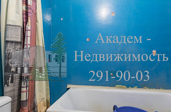 Купить однокомнатную квартиру в Академгородке без ремонта на Полевой 6