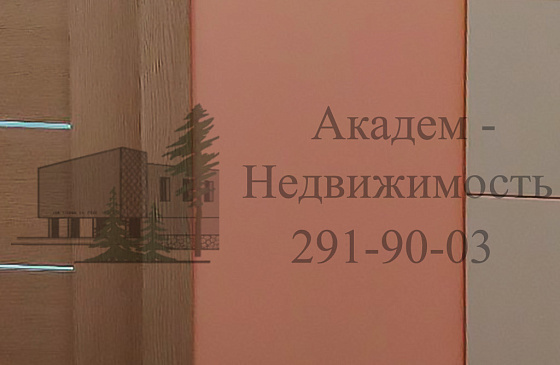 Купить однокомнатную квартиру в Академгородке после ремонта в Нижней Ельцовке